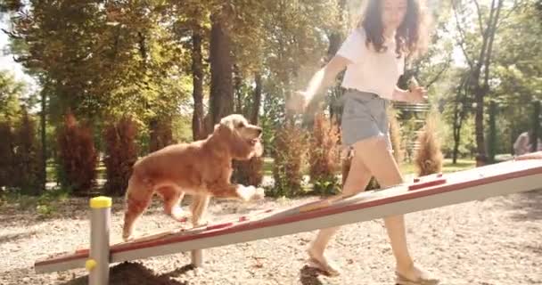 Собака Играет Улице Женщина Тренирует Собаку Отдает Часть Еды Послушной — стоковое видео