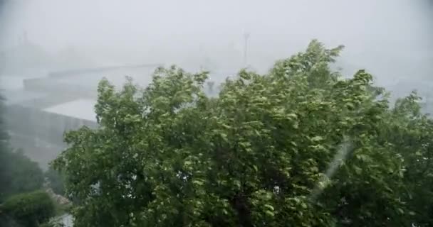 Дощова Крижана Буря Заливний Град Вікні Затоплення Заливний Шторм Вітром — стокове відео