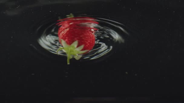Färsk Jordgubbsfrukt Föll Vattenskott Superslow Motion Fallande Färska Jordgubbar Vatten — Stockvideo