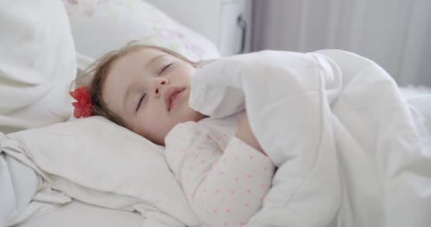 Yatak Odasında Tatlı Bir Bichon Frise Evcil Hayvanıyla Uyuyan Sevimli — Stok video