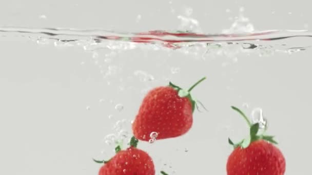 Fruta Morango Fresco Caiu Água Tiro Sobre Fundo Branco Caindo — Vídeo de Stock