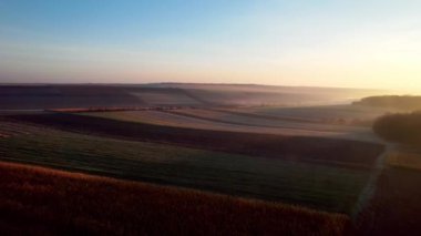 Beautiful morning landscape with sunlight with clouds and steam, arable fields, and wheat, Panoramic Agriculture and rural field.