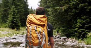 A man walking in the forest. Male traveler hike with backpack trekking pine woodland, Adventurer in expedition. Man hiking or camping in wilderness walk on path or trail.