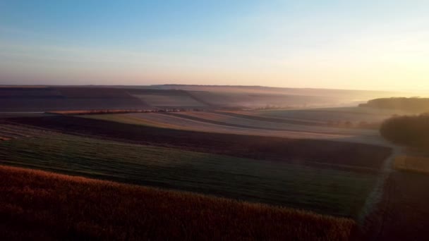 Beautiful Morning Landscape Sunlight Clouds Steam Arable Fields Wheat Panoramic — Vídeo de stock