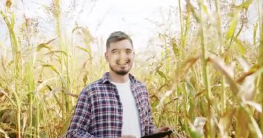 Concept of agribusiness. Business agriculture harvesting concept. quality control green sorghum farm. green wheat crop germ agriculture industry. Farmer with digital tablet checking on Field.