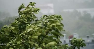 Torrential Rainstorm With Hail In Urban Residential Street Raining Ice Storm, Torrential Hailstone Rain on Window, Inundation, Flooding, Rainfall, Natural Calamity Disaster Heavy Rainy Day.
