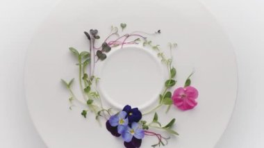 Microgreens with Organic Pink Flower. healthy nutrition. Organic food with many leafs. Newborn Cucumber plant in greenhouse agriculture, healthy food concept, vegan. Micro greens. Healthy food concept