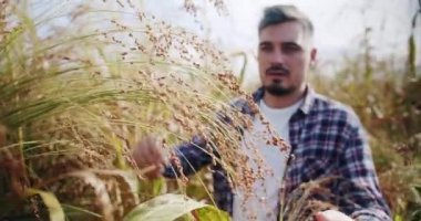Genç çiftçi tarlada yürüyor. Tarım sektörü kavramı. İşletme tarım hasat konsepti. Kalite kontrol yeşil süpürge çiftliği. yeşil buğday hasadı mikrop tarım endüstrisi.