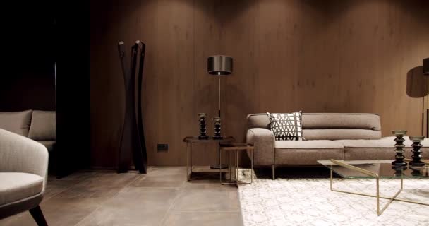 现代灰色和米黄色面料沙发 有枕头的纺织品软垫沙发 现代公寓漂亮的米黄色沙发在现代客厅与灯和地毯 带有木制墙壁的斯堪的纳维亚内陆 — 图库视频影像