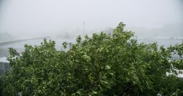 Natural Calamity Disaster Heavy Rainy Day Torrential Rainstorm Hail Urban — Stock Video