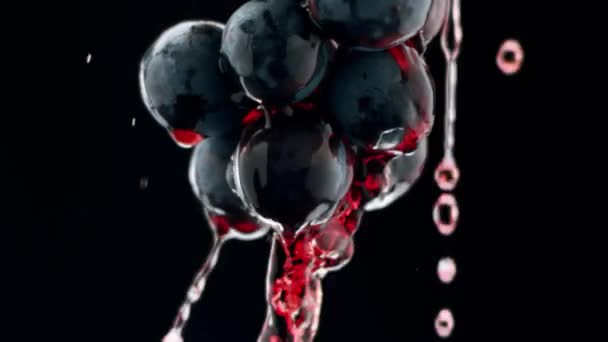 Fresh Black Grapes Rotation Isolated Black Background Super Slow Motion — Stockvideo