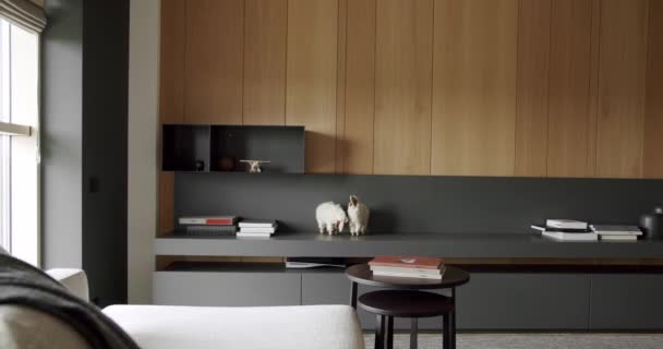 Minimalistický Domácí Interiér Útulný Moderní Design Nábytku Moderní Moderní Minimalistický — Stock video