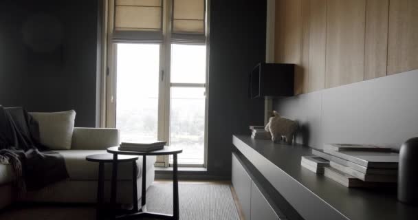 Moderne Moderne Minimalistische Woonkamer Met Houten Muur Grijs Meubilair Luxe — Stockvideo