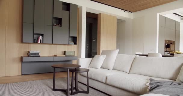 Ahşap Duvarlı Gri Mobilyalı Modern Minimalist Oturma Odası Moda Mobilyaları — Stok video