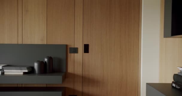 Moderní Moderní Minimalistický Obývací Pokoj Dřevěnou Stěnou Šedým Nábytkem Luxusní — Stock video