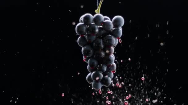 新鲜的黑葡萄在超慢运动的孤立的黑色背景上旋转 葡萄近身 循环运动 酒水广告中漂亮的库存镜头 尝尝豪华葡萄的味道 优质创意葡萄 — 图库视频影像