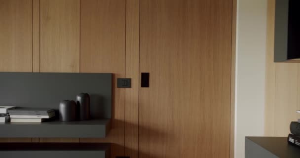 Moderní Moderní Minimalistický Obývací Pokoj Dřevěnou Stěnou Šedým Nábytkem Luxusní — Stock video