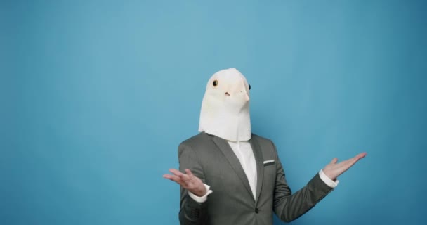 Man Pigeon Mask Making Funny Gestures Man Pigeon Mask Fun — Stock Video