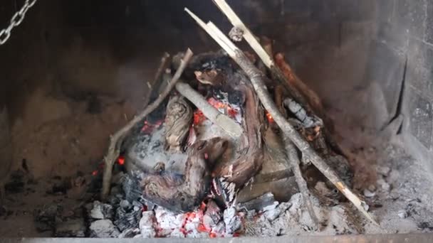 Grelhar Com Carne Polvo Batatas Legumes — Vídeo de Stock