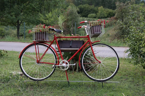 Altes Fahrrad Mit Blumen Gartengestaltung — Stockfoto