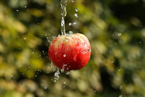 Fresh Water Splash Red Apple Isolated Green — Stock Photo, Image