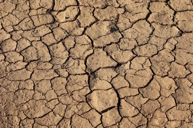 Kurak mevsim çatlakları kurumuş toprak.