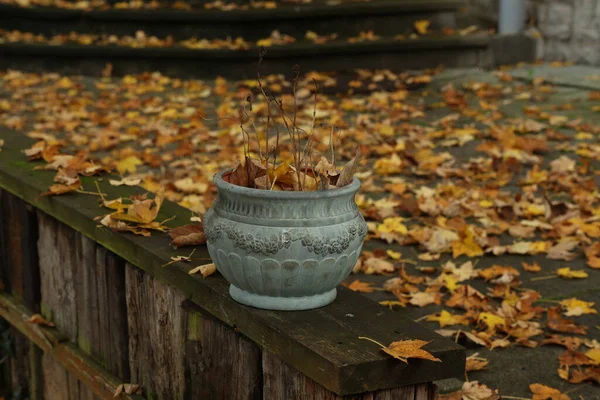 Keramiktopf mit Pflanzenresten im Herbst im Garten — Stockfoto