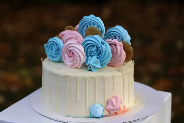 性別啓示パーティーのための青ピンク色の休日のケーキ — ストック写真