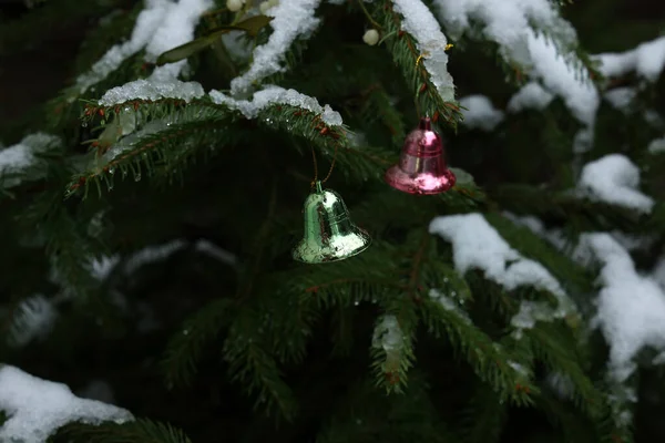 Weihnachtsspielzeug am Baum im Wald — Stockfoto