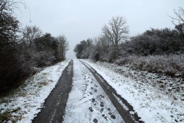 Sabahları yeni yağmış karlı kış manzarası.