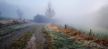 Doğa. Kırsal alan. Aralık 'ta sisli bir sabah.
