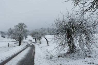 Sabahları yeni yağmış karlı kış manzarası