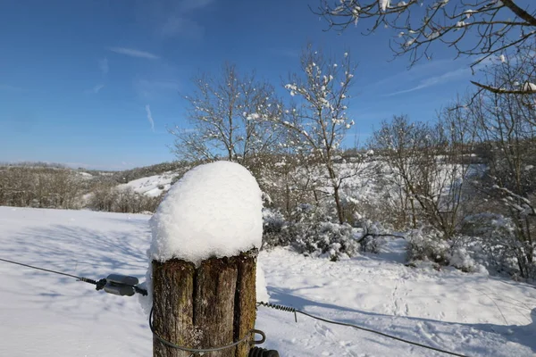 Paisagem Inverno Com Neve Recém Caída Pela Manhã — Fotografia de Stock