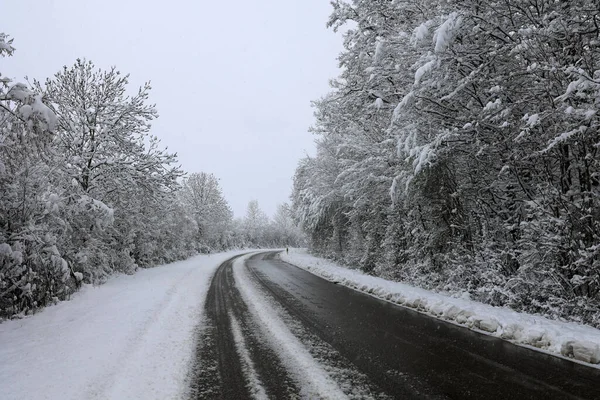 Winter Winter Road Freshly Fallen Snow — Stock Photo, Image
