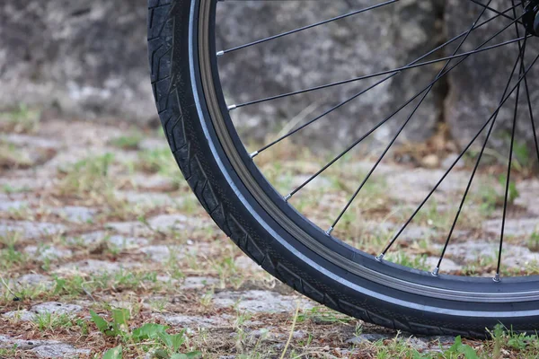 Frammento Una Ruota Bicicletta Gomme Cerchioni Raggi — Foto Stock