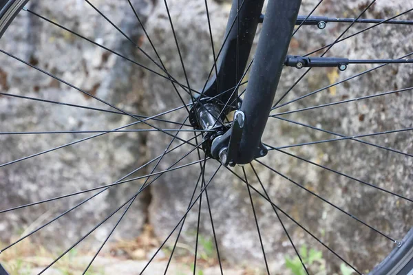 Fragmento Uma Roda Com Raios Bicicleta — Fotografia de Stock
