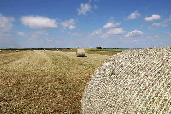 収穫した畑や干し草のロールの風景 — ストック写真