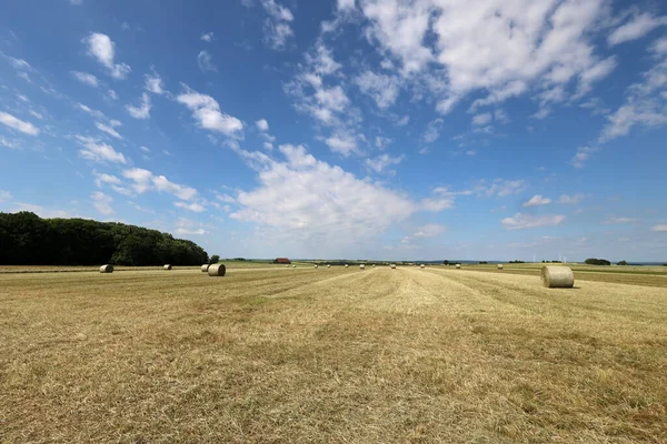 Paisagem Com Campos Colhidos Rolos Feno — Fotografia de Stock