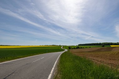 Summer landscape with fields and meadows.