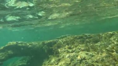 Underwater shots in the Mediterranean Sea on Cyprus.