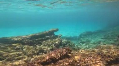 Underwater recording while snorkeling in Cyprus.