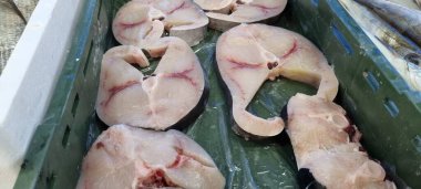 Hırvatistan 'da bir balık pazarında farklı deniz balıkları.