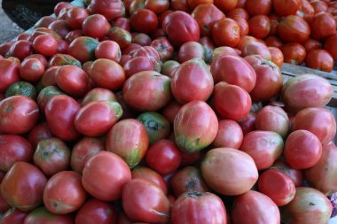 Hırvatistan 'da bir pazarda satılık kırmızı domates.