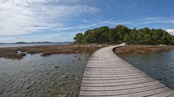 Chemin Bois Île Forteresse Saint Nicolas Croatie — Video