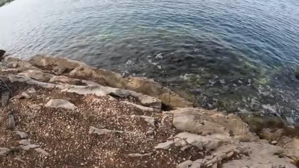 Sea Waves Crash Rocks — Stock Video