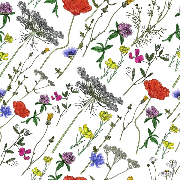  Seamless vector pattern of wild and meadow flowers on a white background. Poppies, dandelions, clover, chamomile