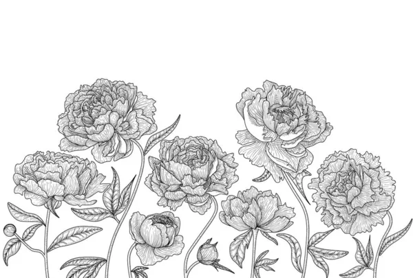 Wektorowa Grafika Liniowa Ilustracja Zestaw Czarno Białych Kwiatów Liści Pąków — Wektor stockowy