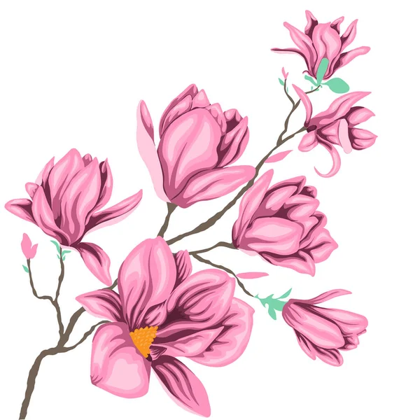 Ilustración Vectorial Una Rama Hojas Flores Magnolia Rosa — Archivo Imágenes Vectoriales