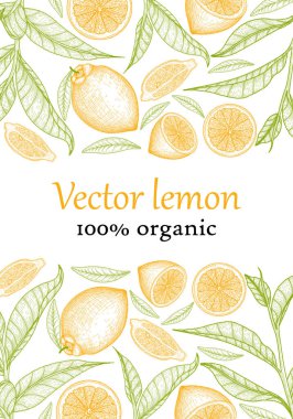  Vector illustration of the banner template. Graphic linear colored lemons and leaves