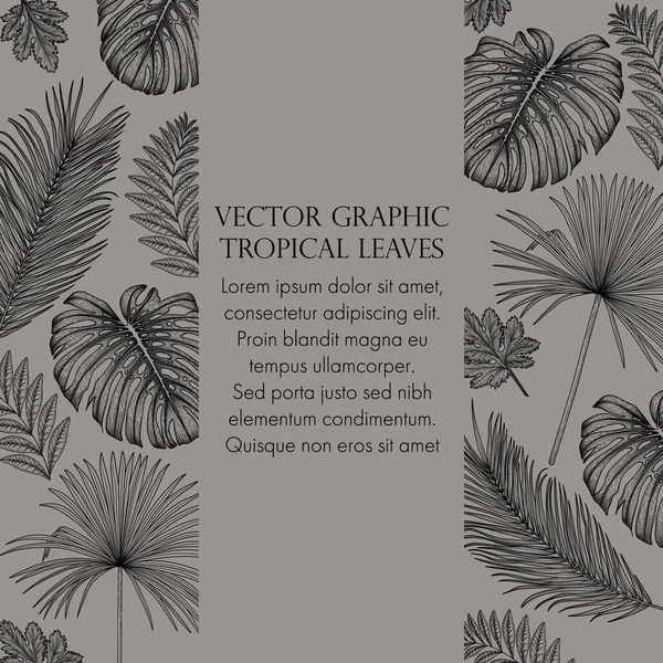 Vetor Ilustração Banner Template Gráfico Folhas Tropicais — Vetor de Stock